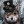 Wolf Lonely